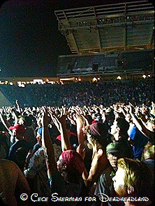 Phish heads at Toyota Park