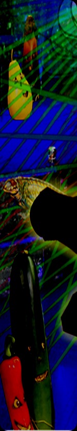 jerry trip veg
