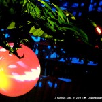 Year of the Dragon - Furthur NYE 2011 > 2012 | (♥);} MarkoVision for DeadHeadLand